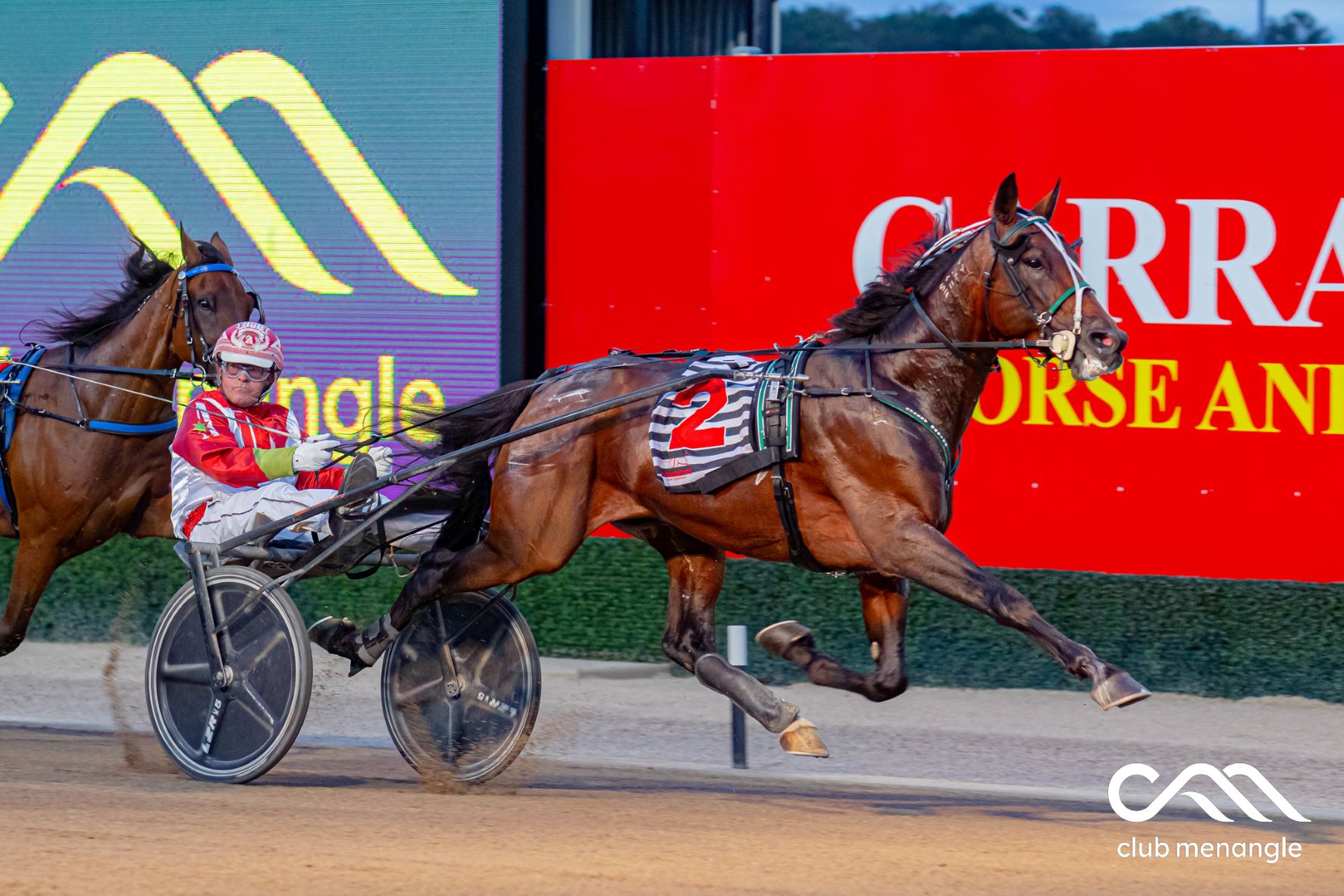 Star trotter to be retired to stud