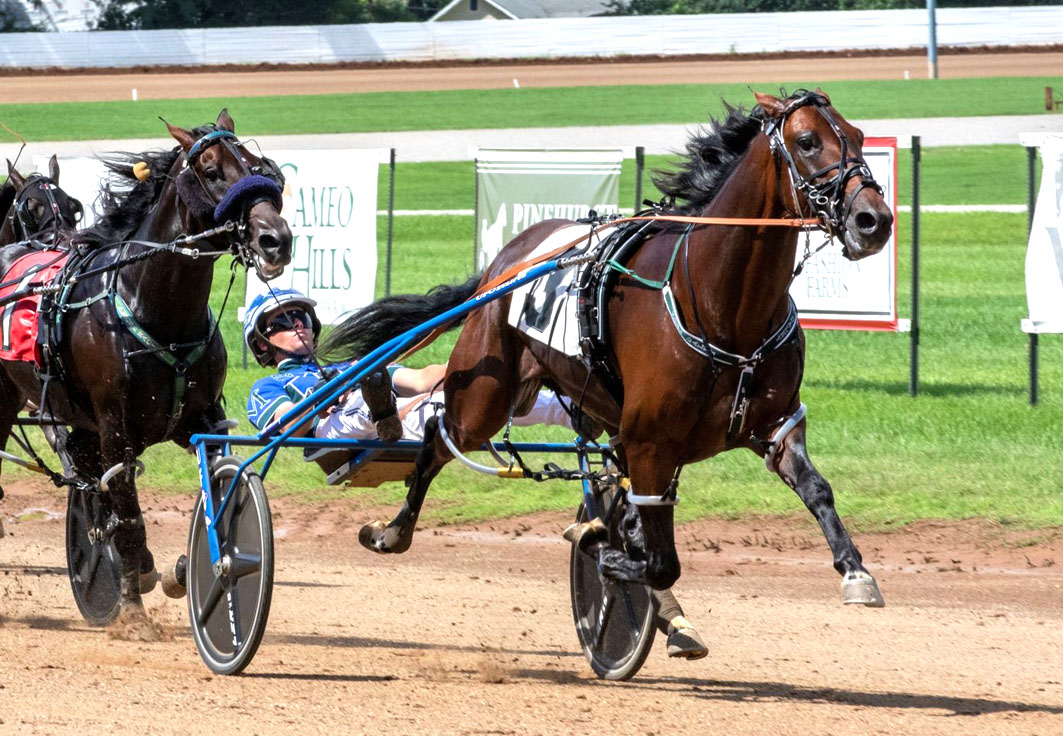 Superstar heading to Australia for stud duties