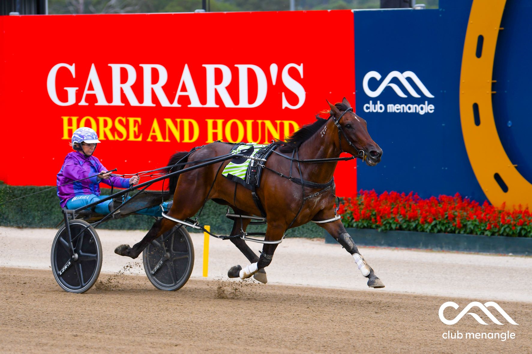 Princess ready to take the cake