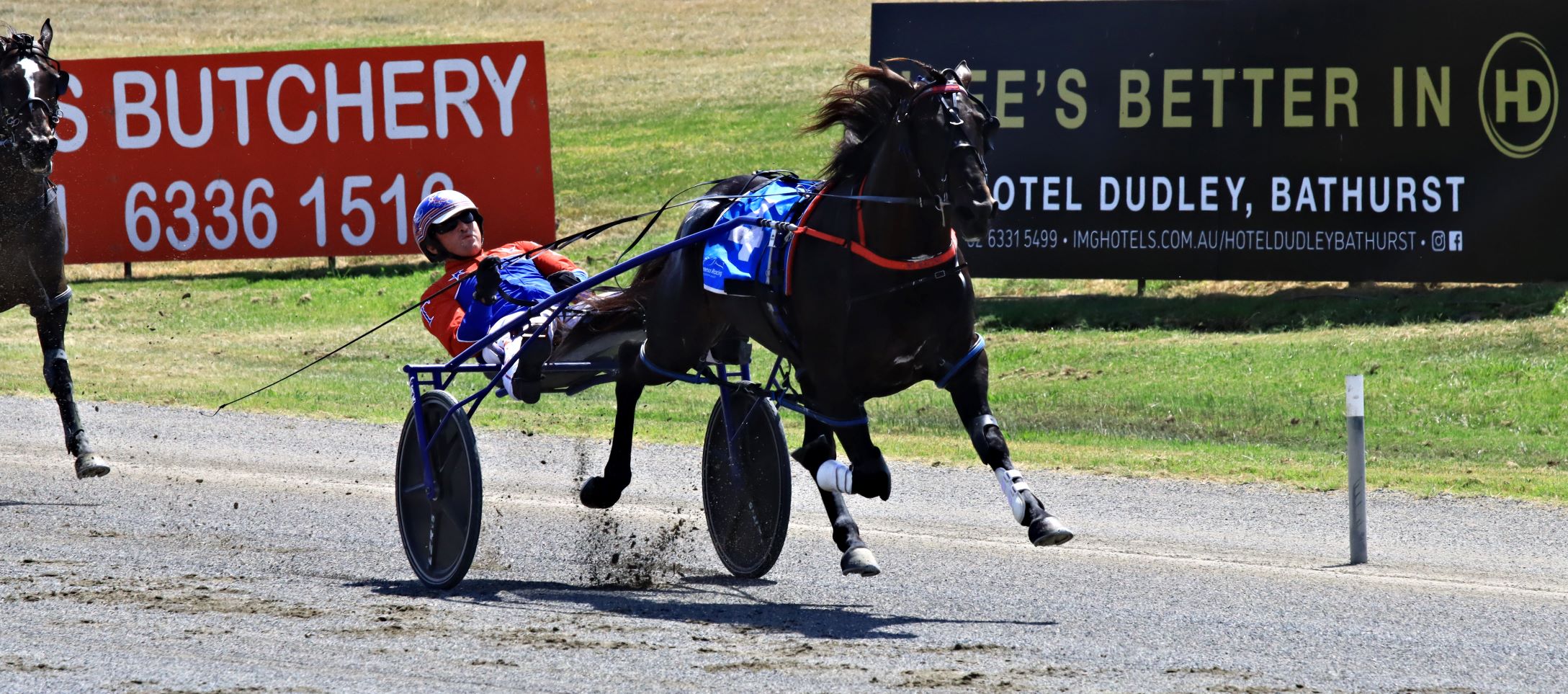 Once-in-a-lifetime horse will miss Eureka