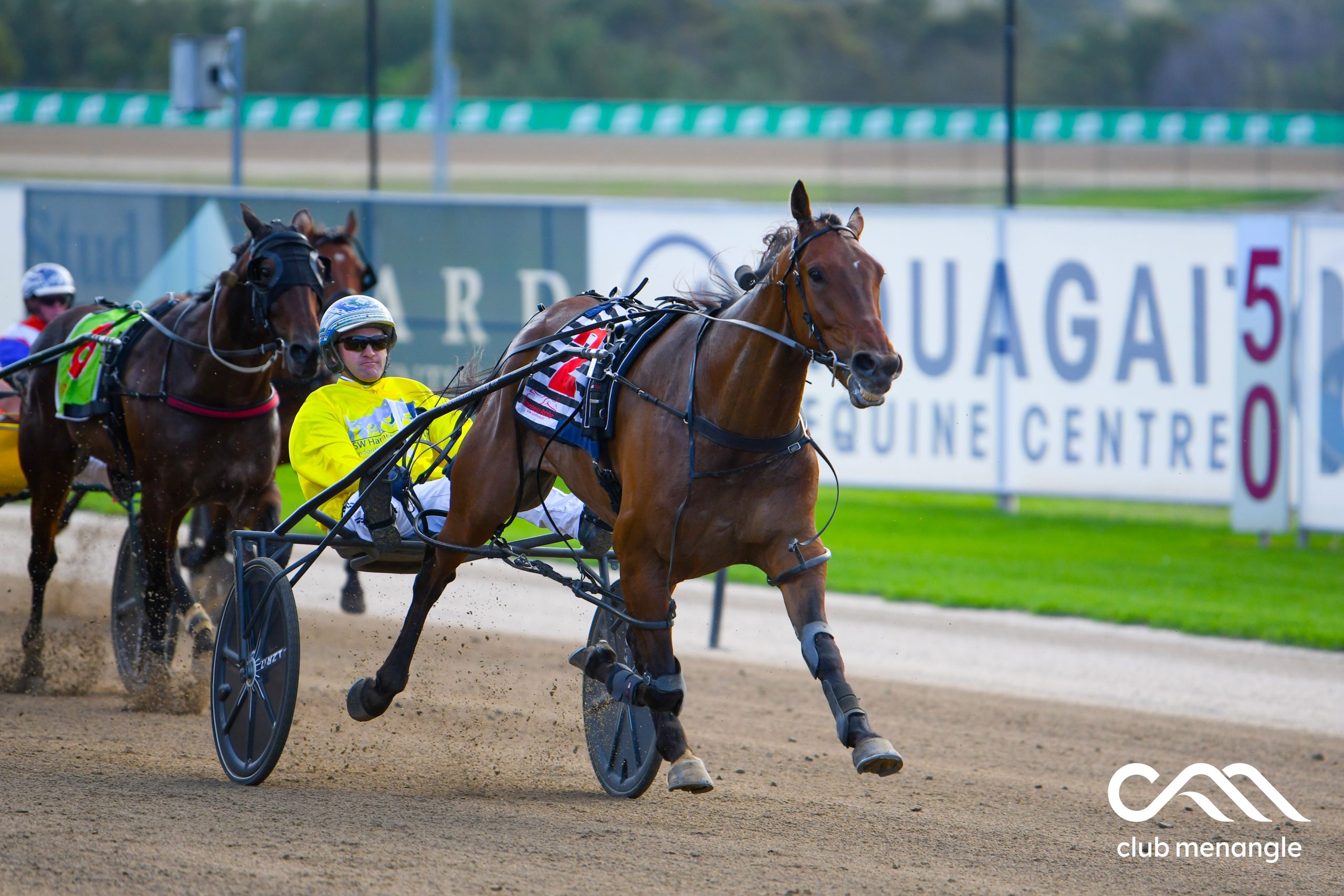 A topical tip for the Coronation Cup