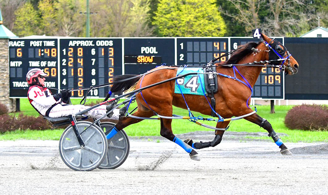 Australian Group One winner too good in USA