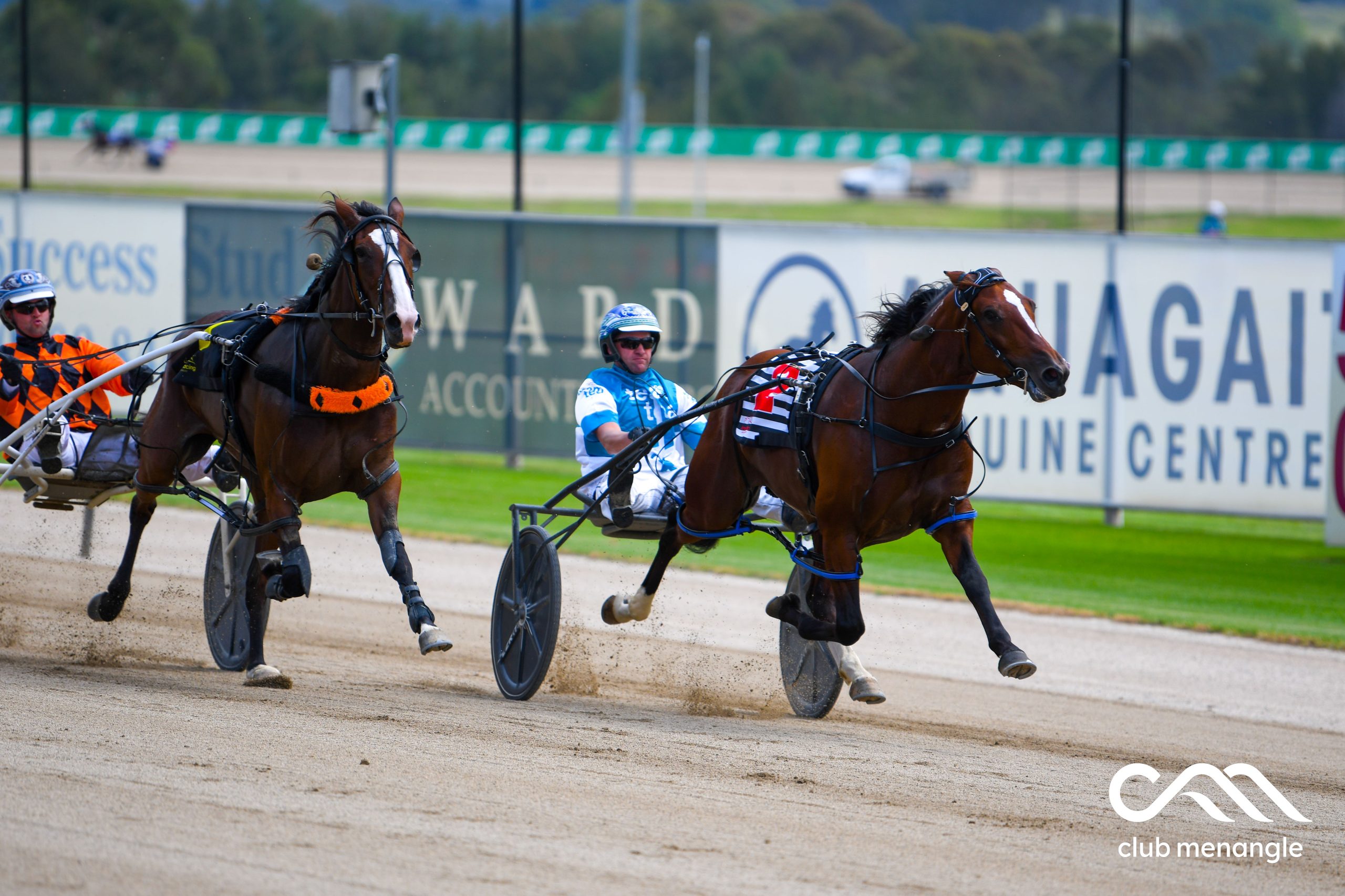 Sweetheart Bart the first special on a bumper program