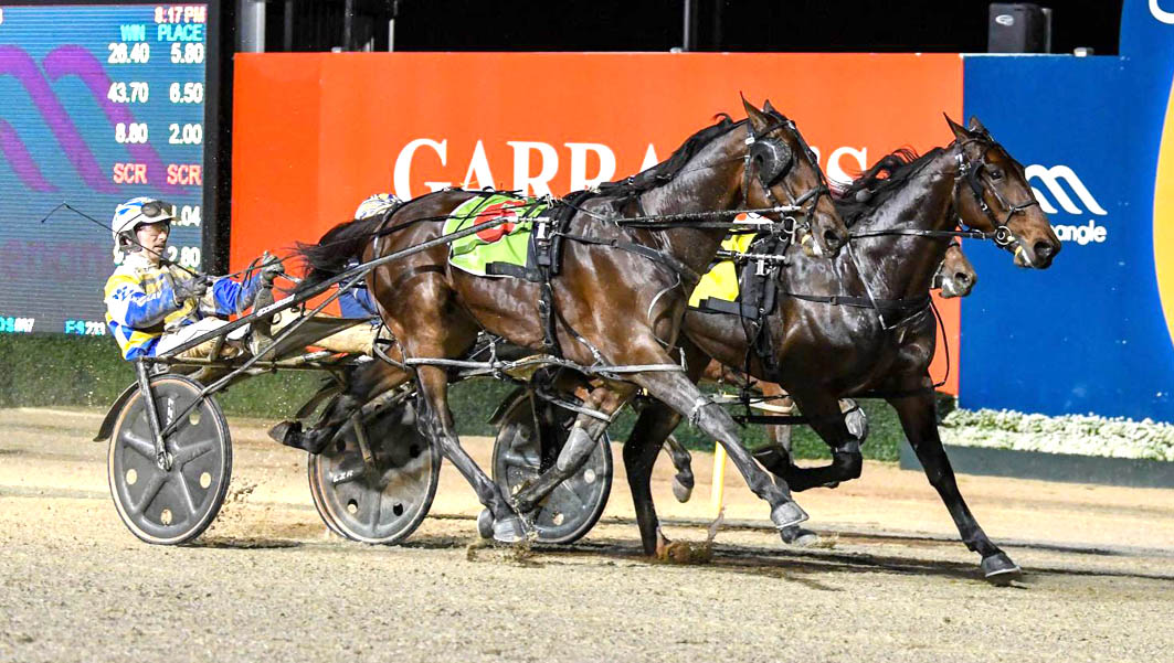 Dan wins war over stable buddy