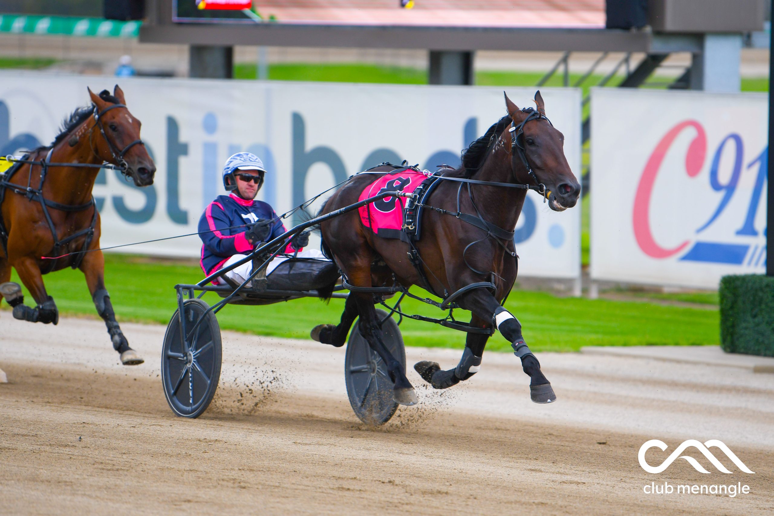 Let's 'Hammer' down some specials for Menangle Tuesday