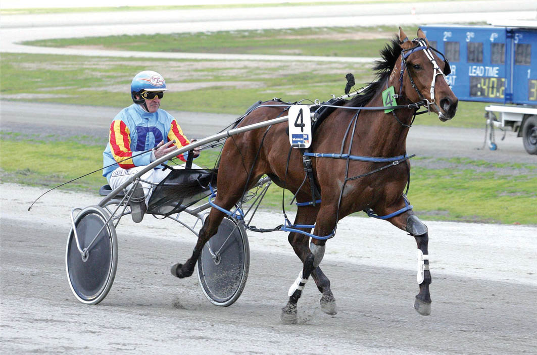 Deja vu moment for premier trainer