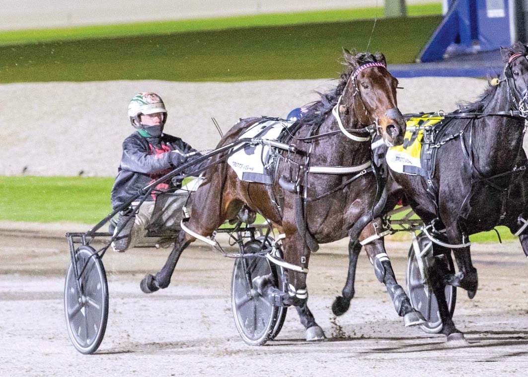 Breeding career awaits