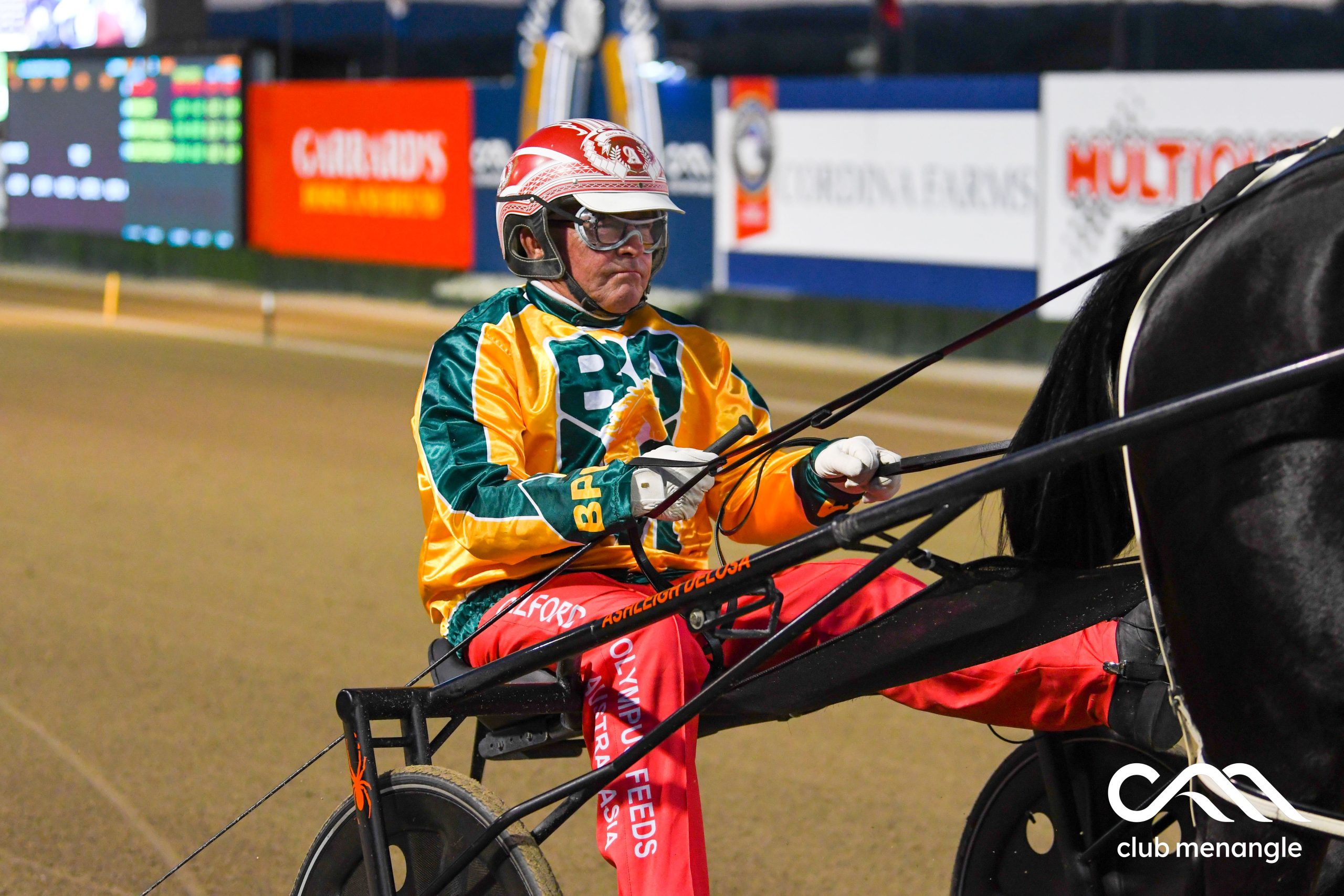 Champion reinsman happy to mentor our young drivers