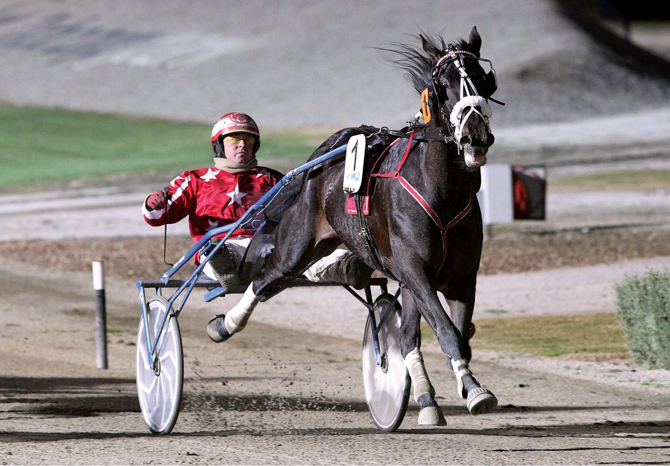 Best young trotter since multiple Group One winner