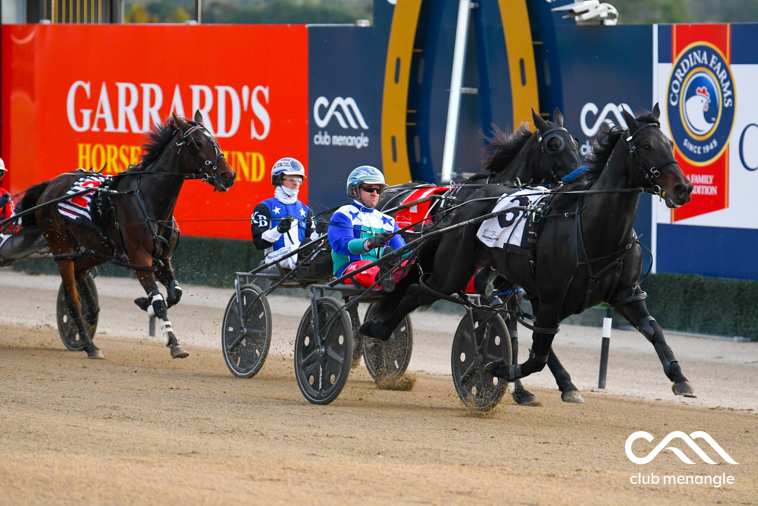 Find out Mike’s best for Menangle and Melton