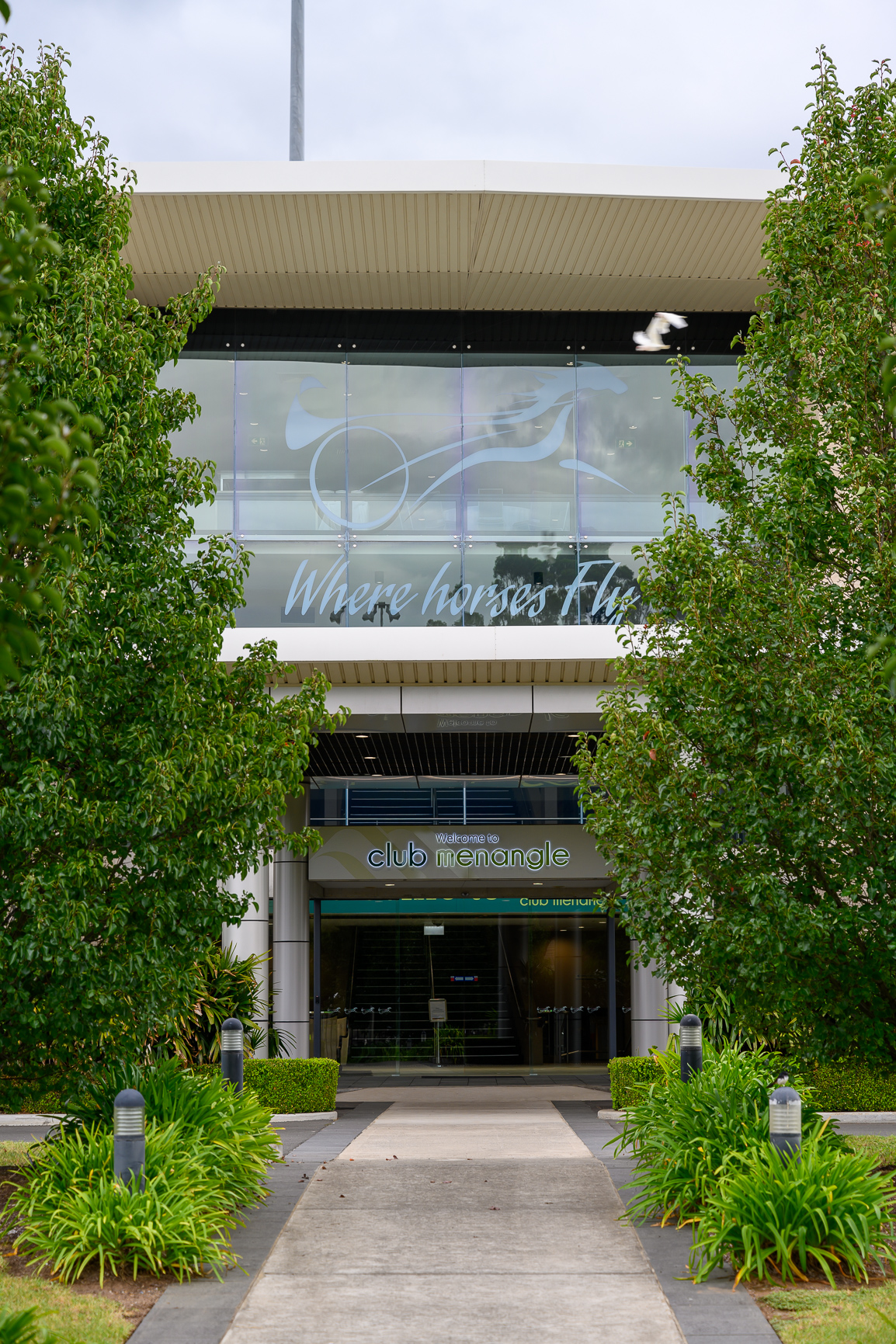 ‘Fab Four’ for Menangle on Tuesday