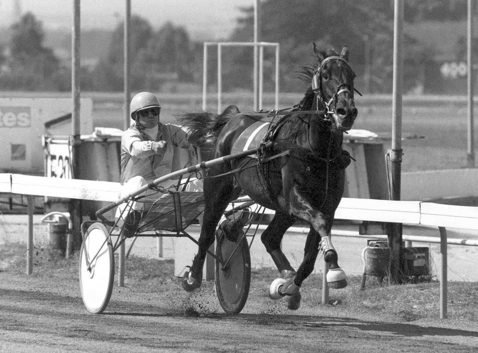 Former star trotter to be honoured