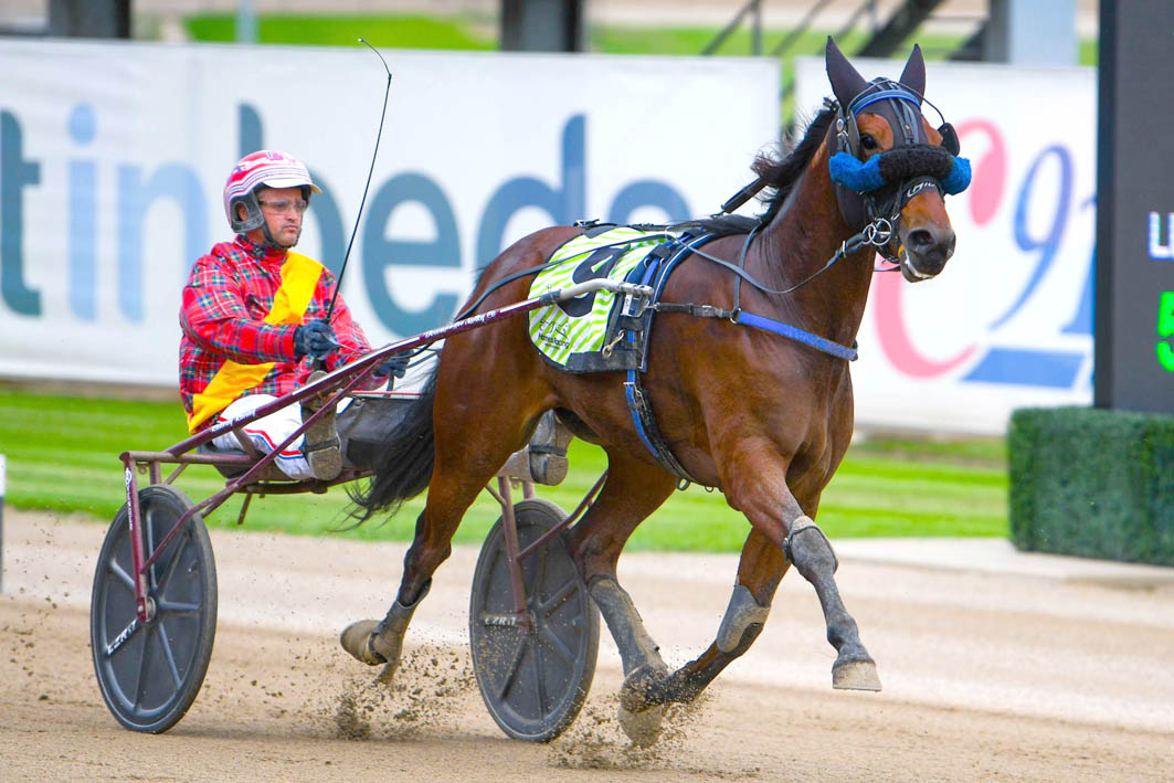 Rounding off Inter Dominion preparations
