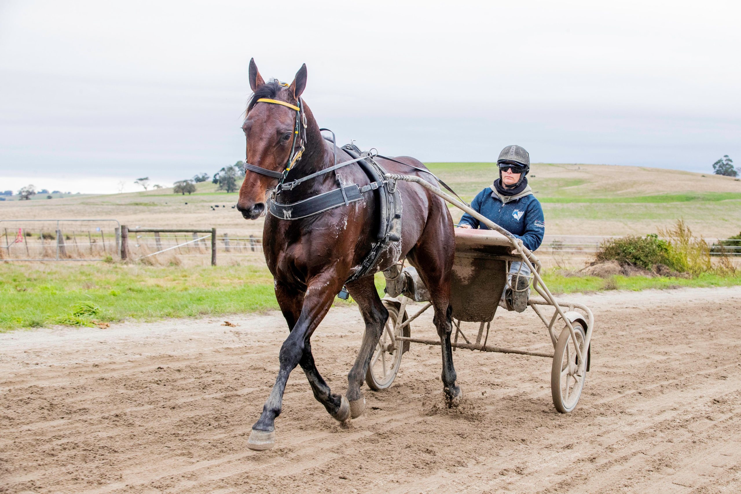 TAB announces its $2.1m Eureka slot representative