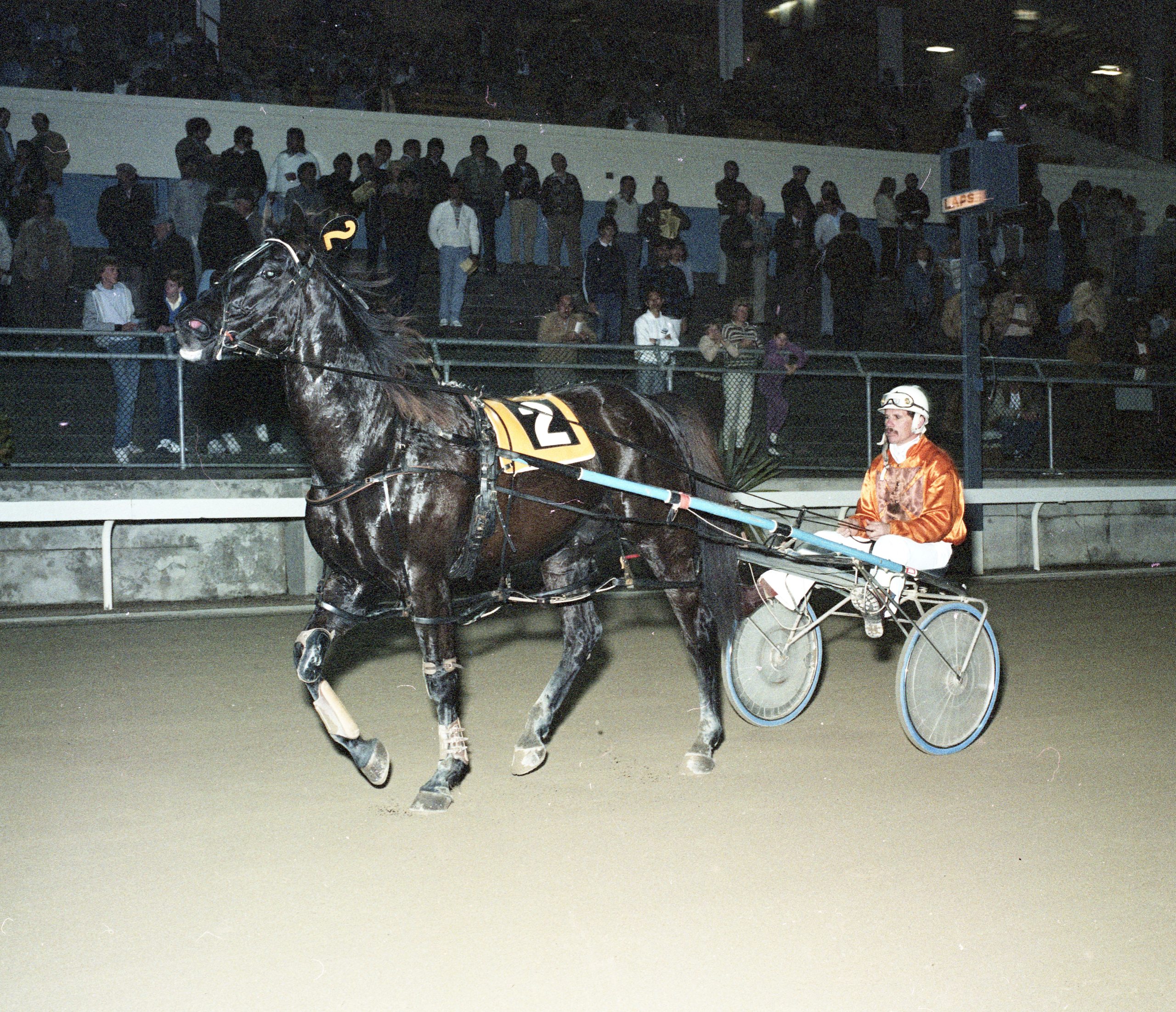 Vale: Bruce Kennedy . . . a complete horseman