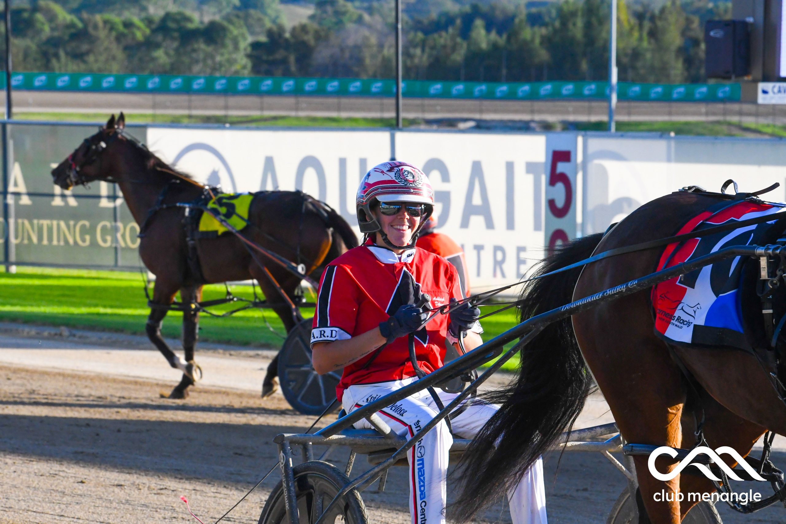 Here's your 'Ultimate' specials for Menangle Tuesday