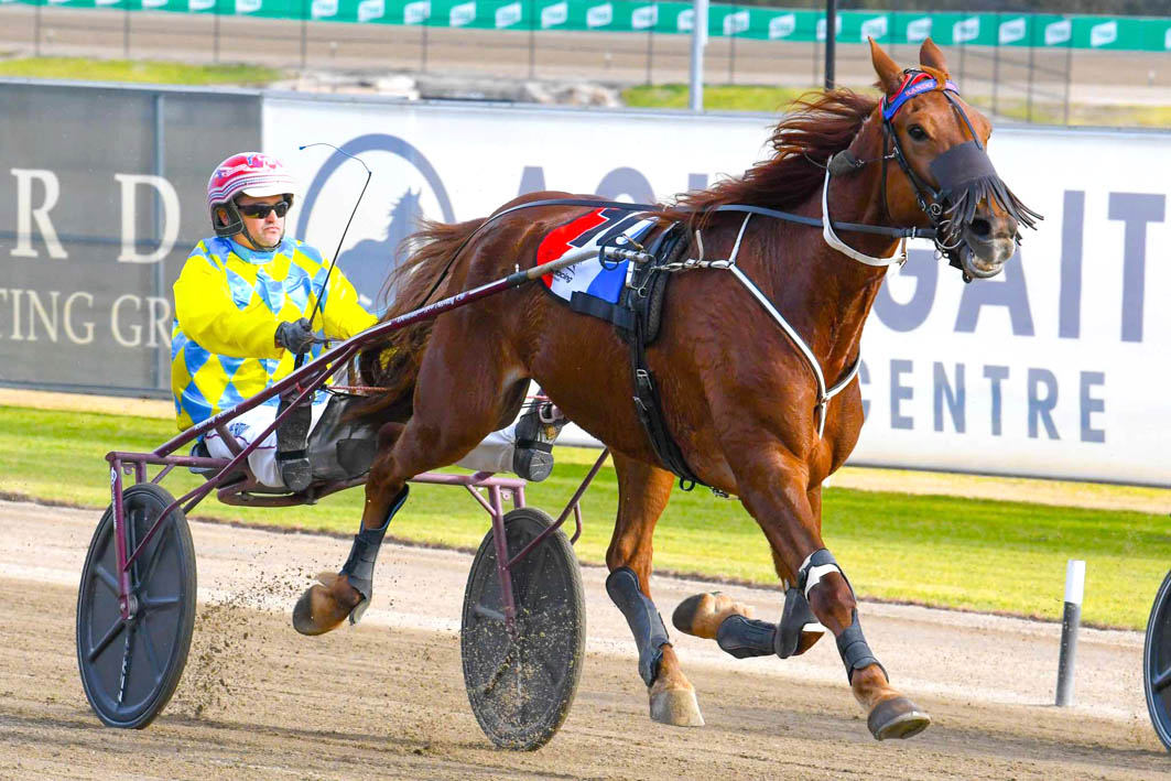 Take a 'Leaf' out of this winners' book for Club Menangle Trotters' Cup