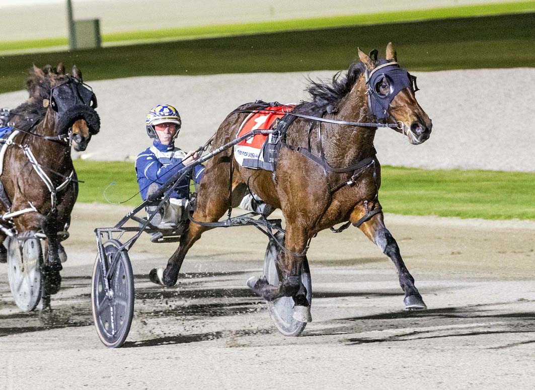 Queensland trip a possibility for promising filly