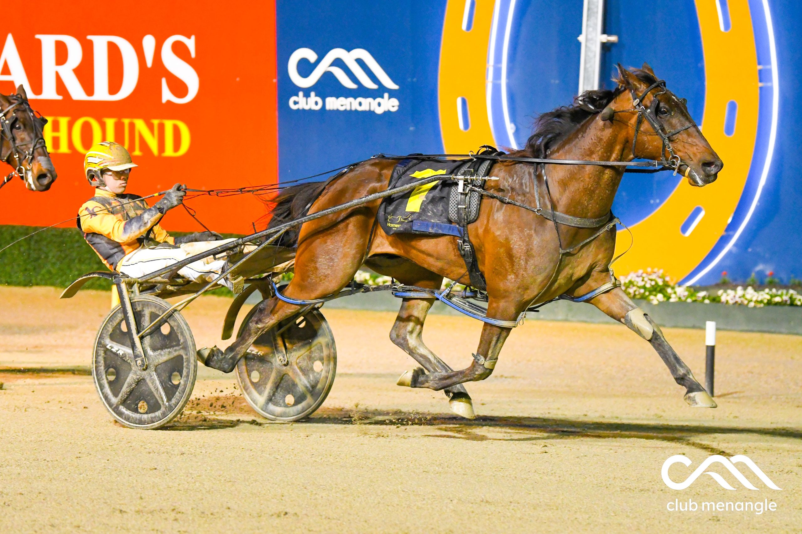 Gun young reinsman ready for a new chapter in his life