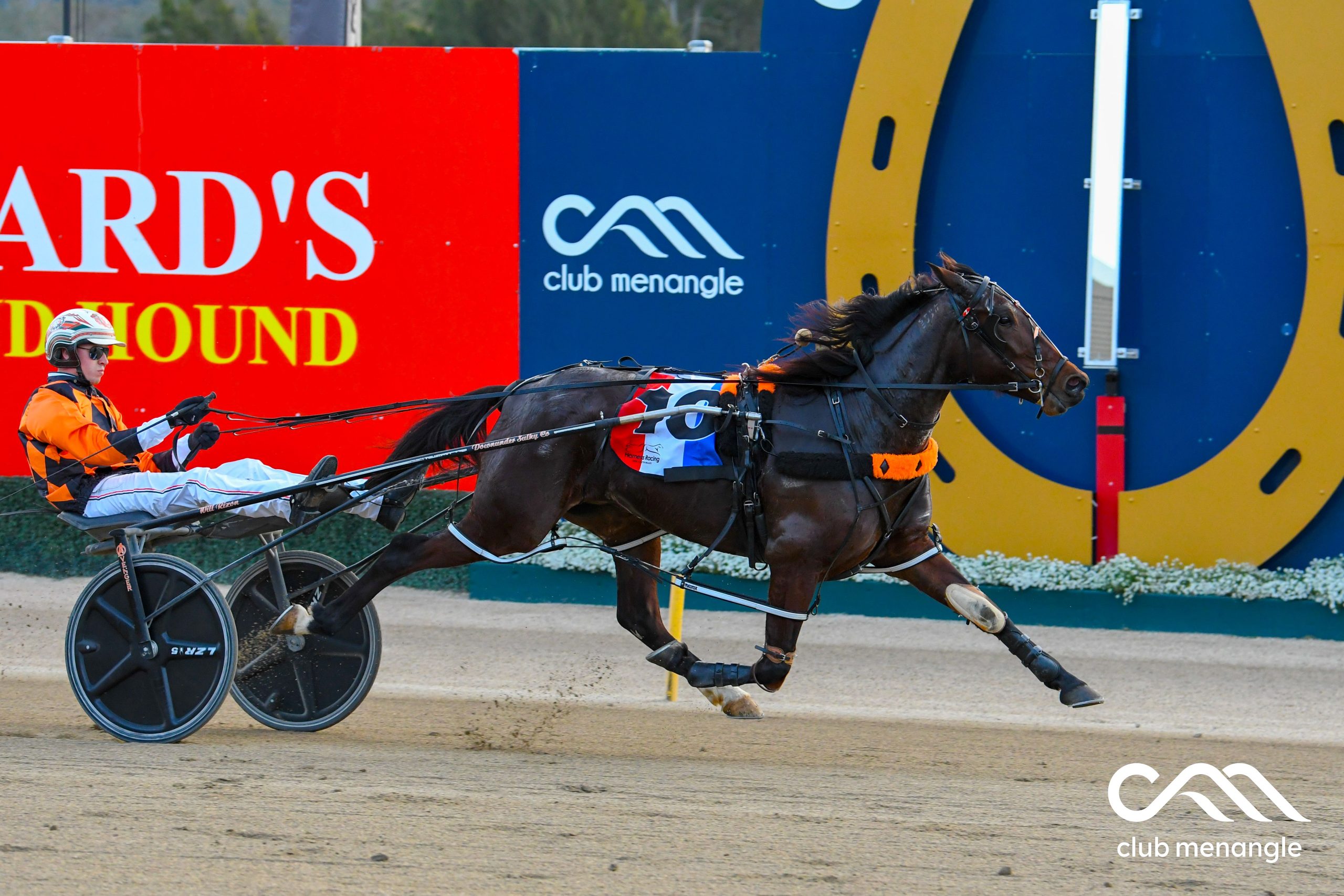 Three Late Mail specials for Menangle Tuesday