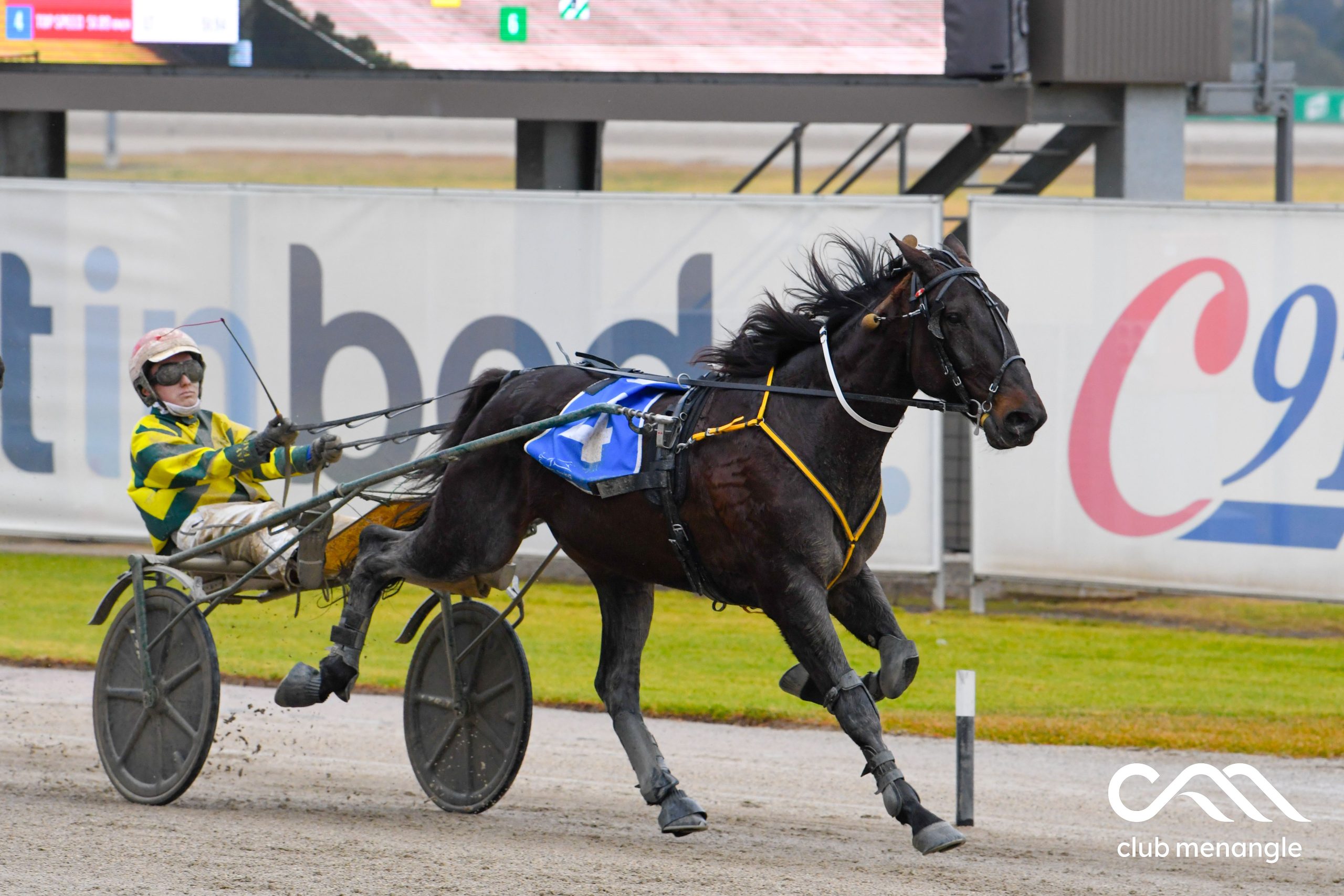 Youngster just loves donning those famous colours