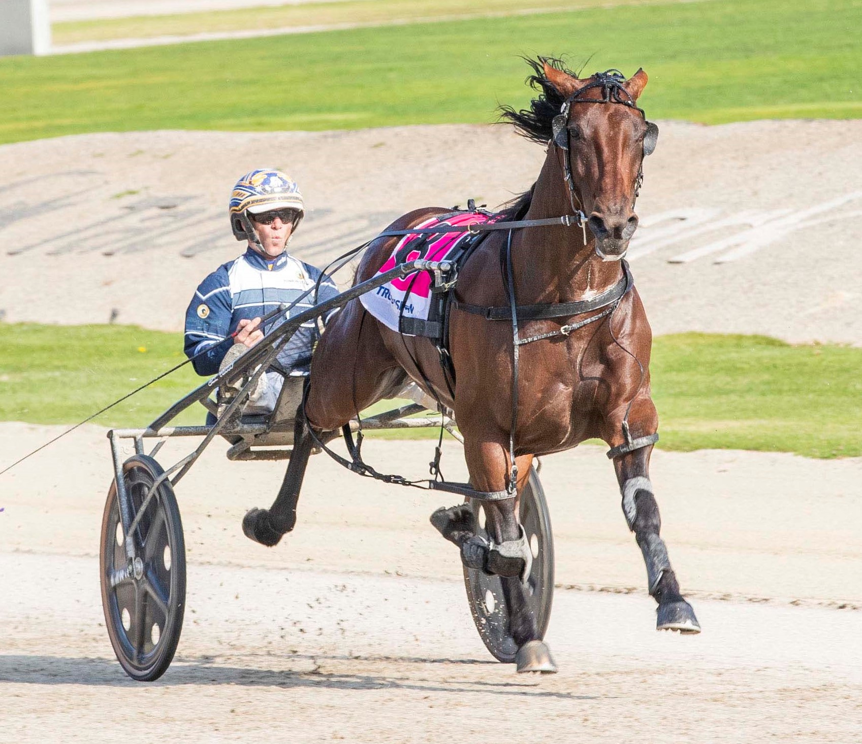 Difficult task in bid to regain title