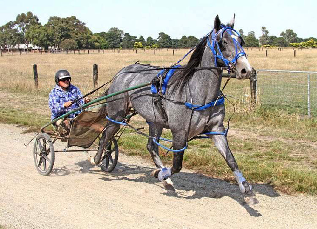 Maiden win the perfect tonic