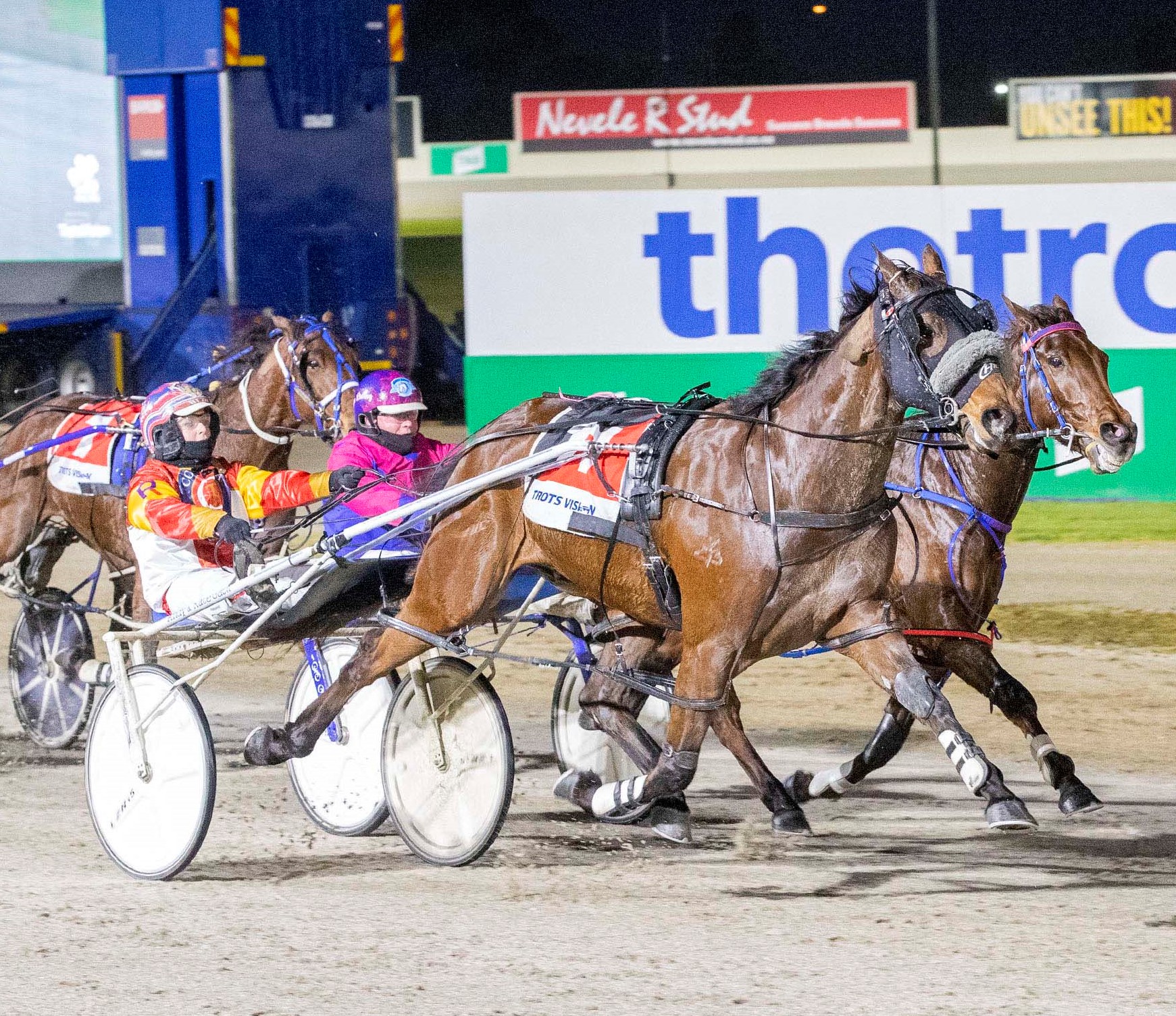 Now it all comes down to 'The Singo' for that last Eureka spot