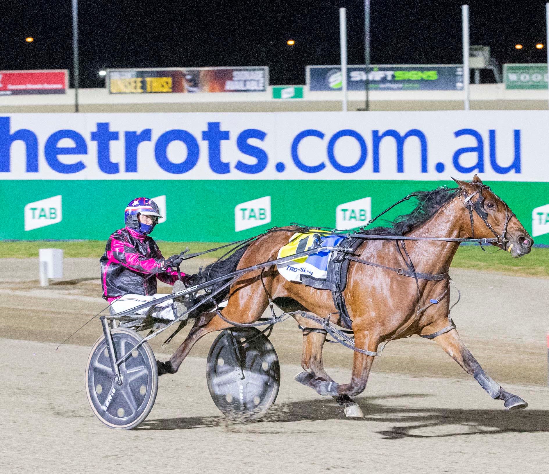 Is this our next superstar?