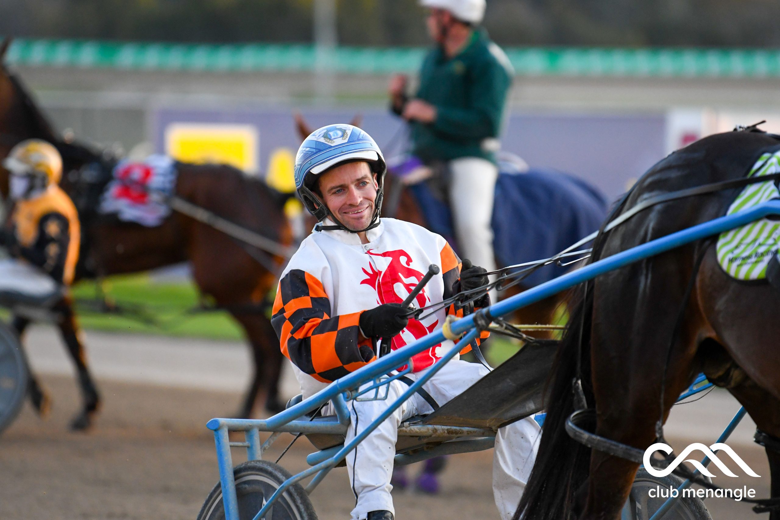 Hoping Da Vinci can produce another work of art