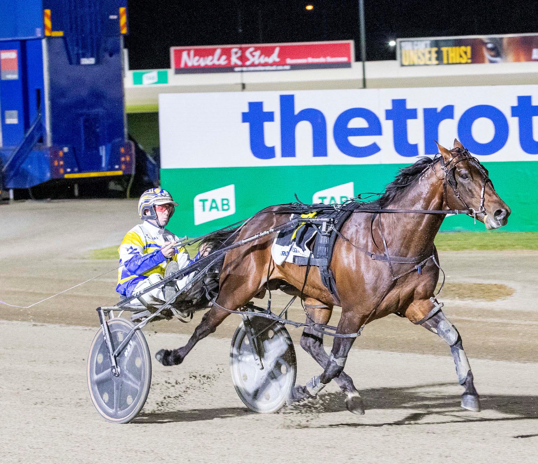 Trainer's strange winning habit