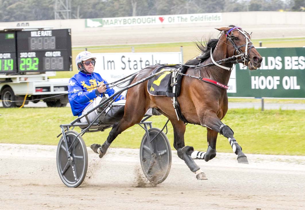 Star squaregaiters set to clash