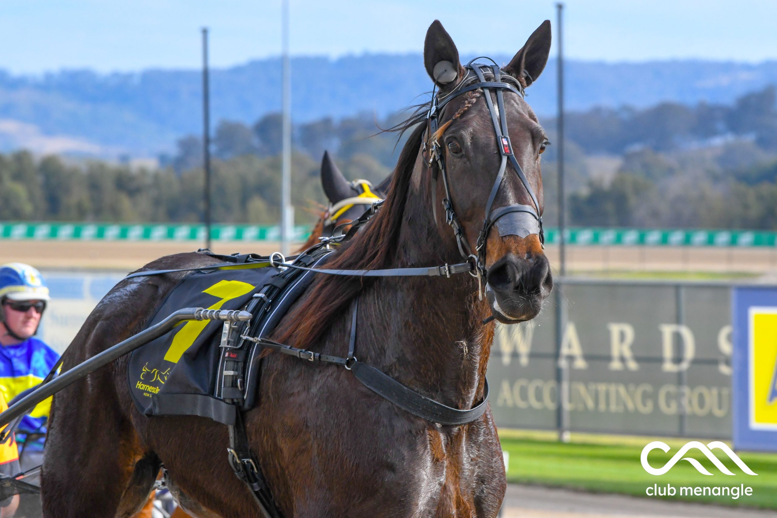 Ready to upstage star sibling