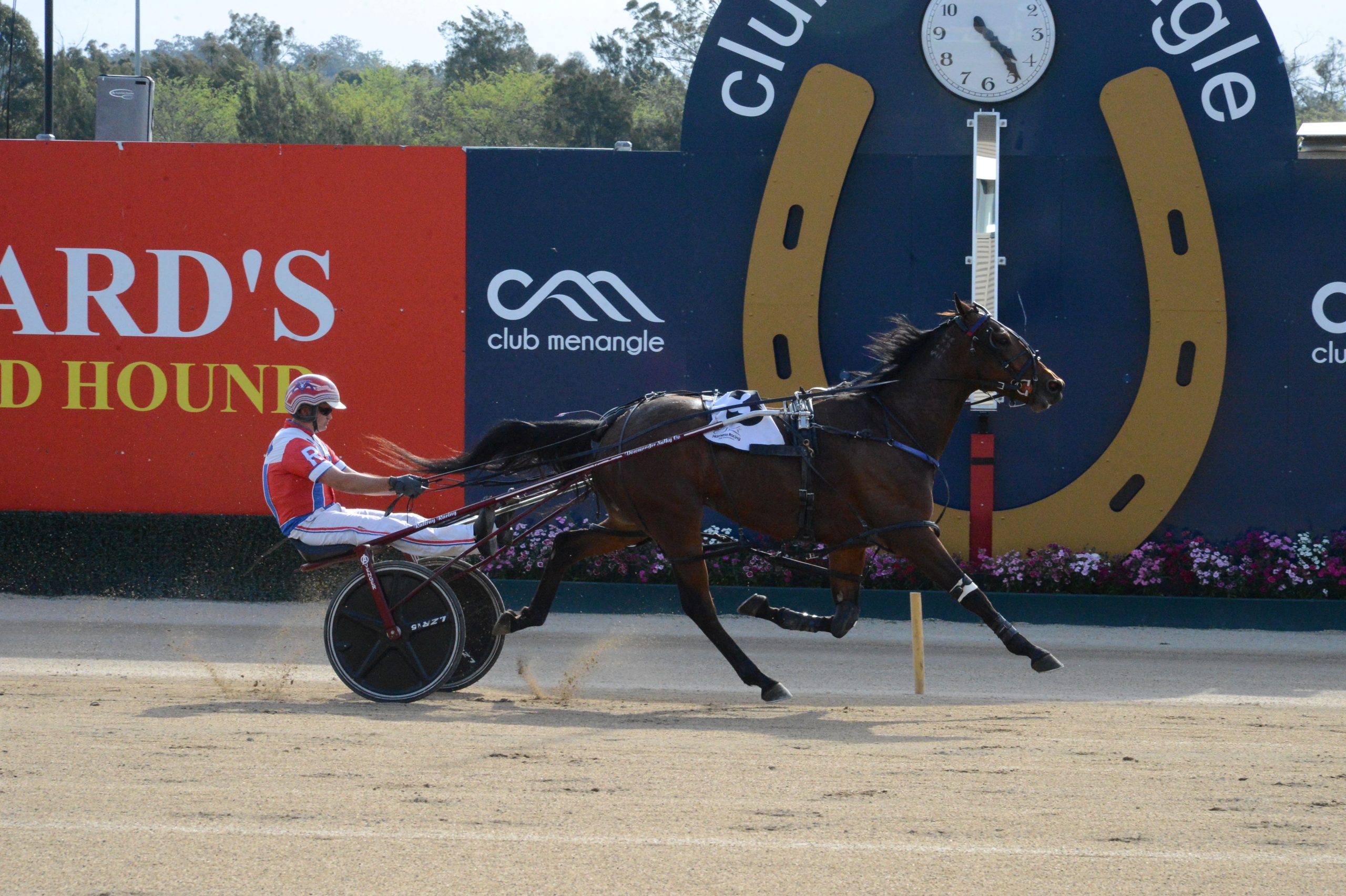 Bainbridge holds sway as best bet on a strong Menangle card