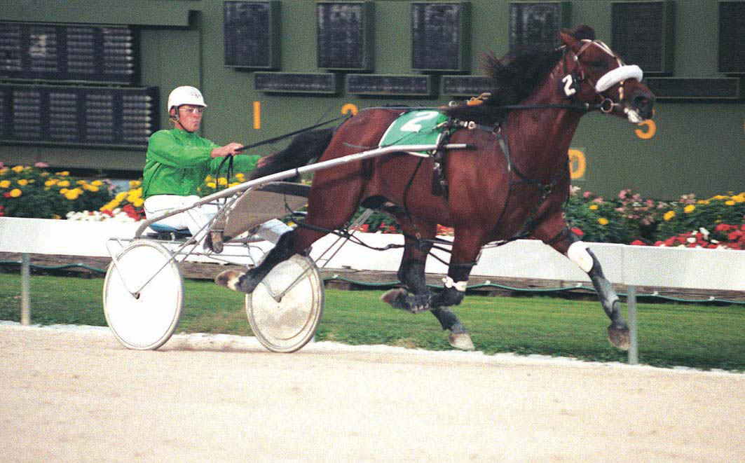 Family synonymous with greatness