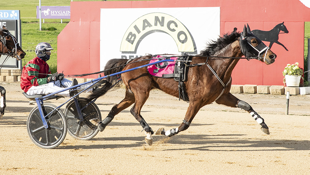 Aiming for consecutive Oaks