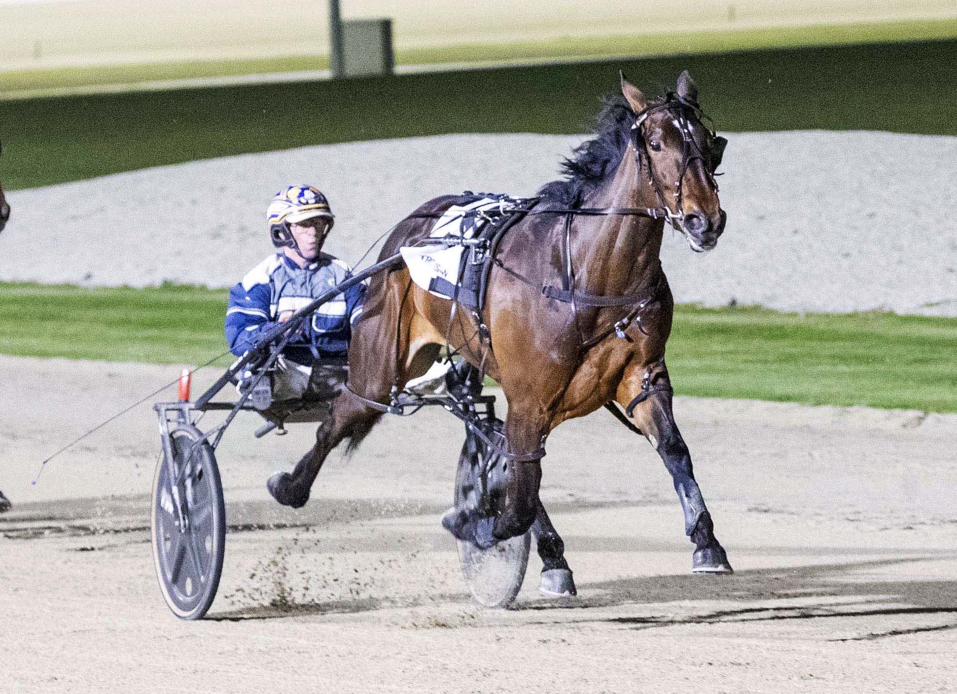 Undefeated stablemates to dominate again