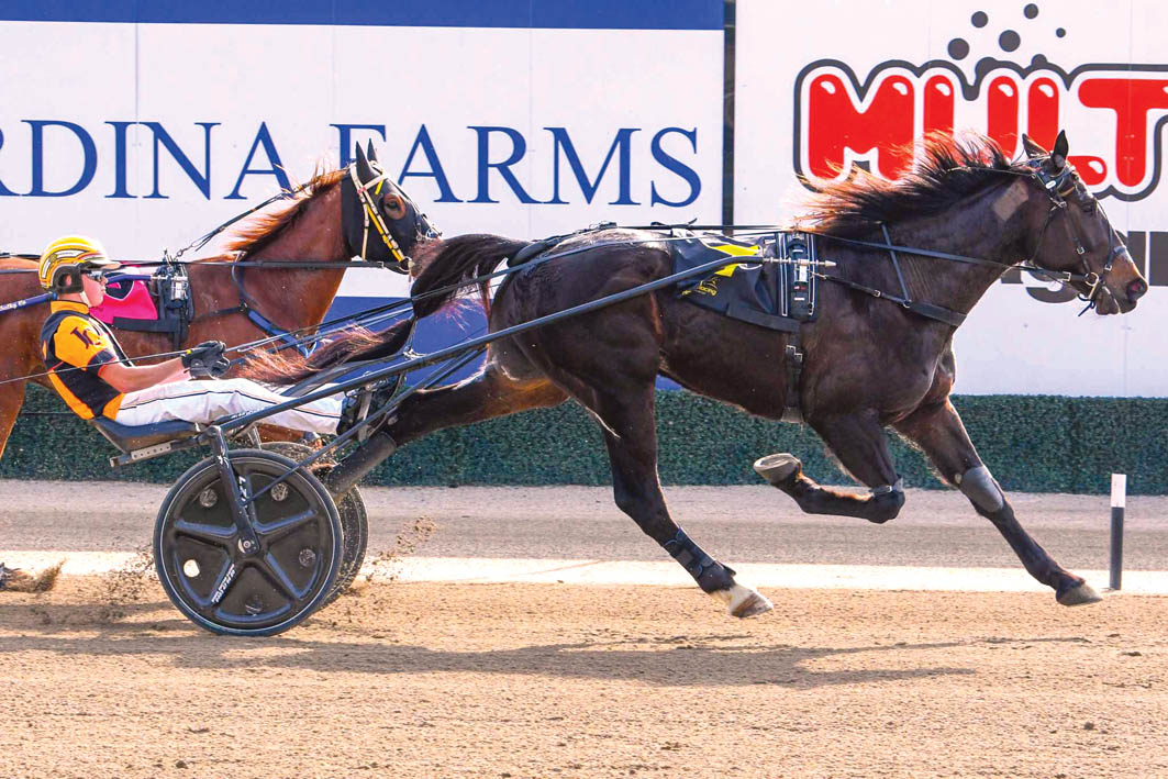 Rising star "will be tested this weekend"