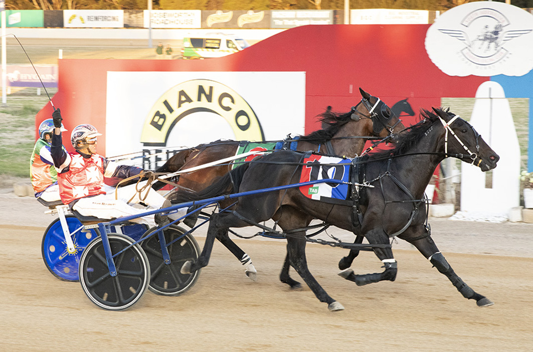 Quality youngster to race interstate
