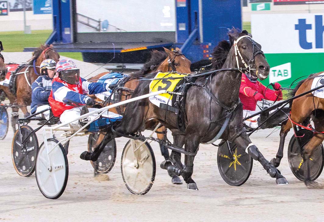 Quality filly facing seemingly impossible task