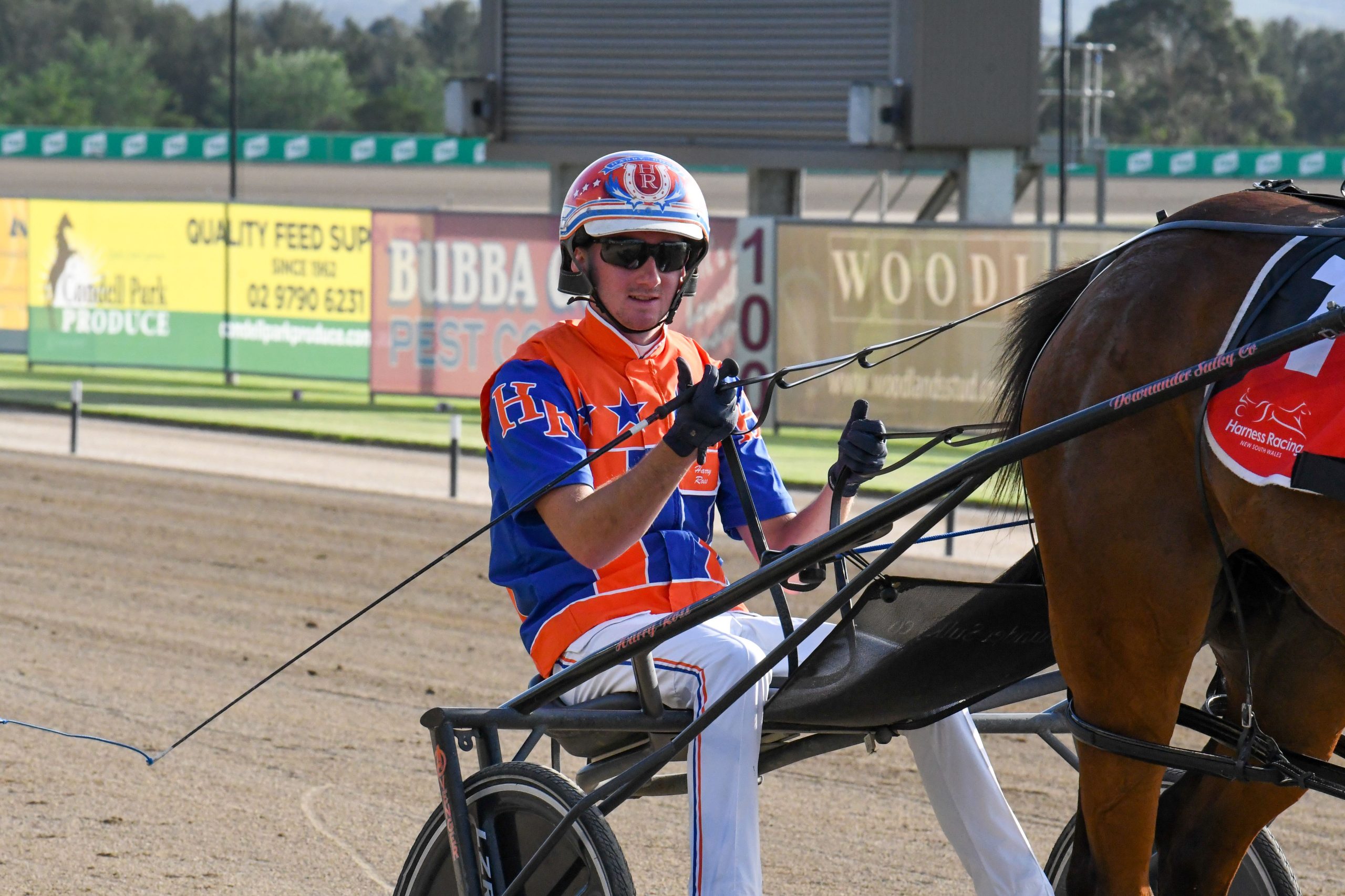 Just wild about 'Harry'