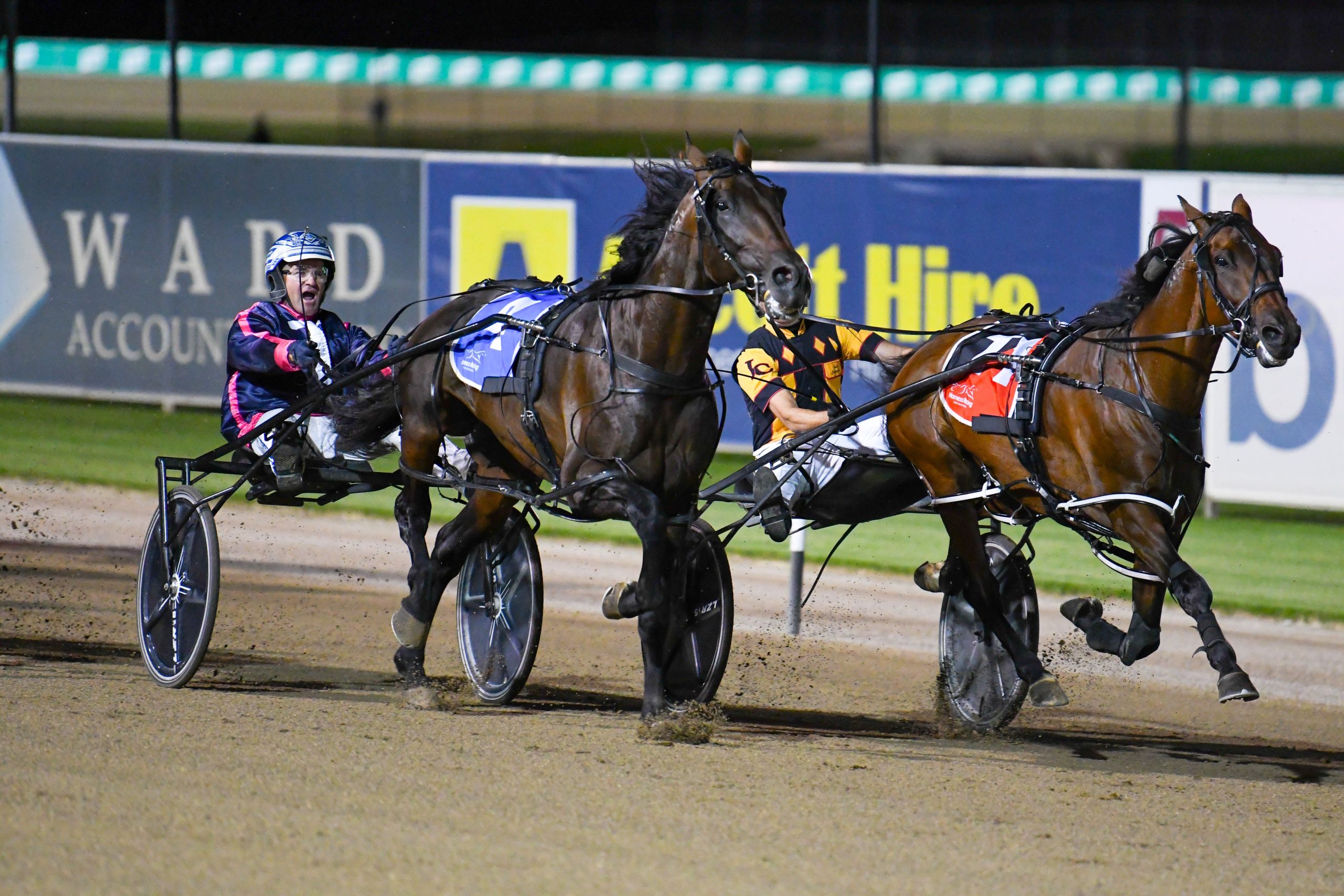 These King 'babies' may be something special