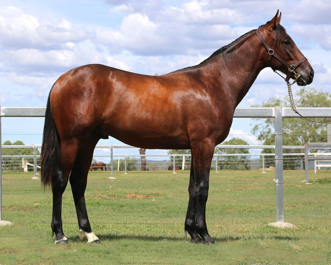 Leading pair to make Queensland debut