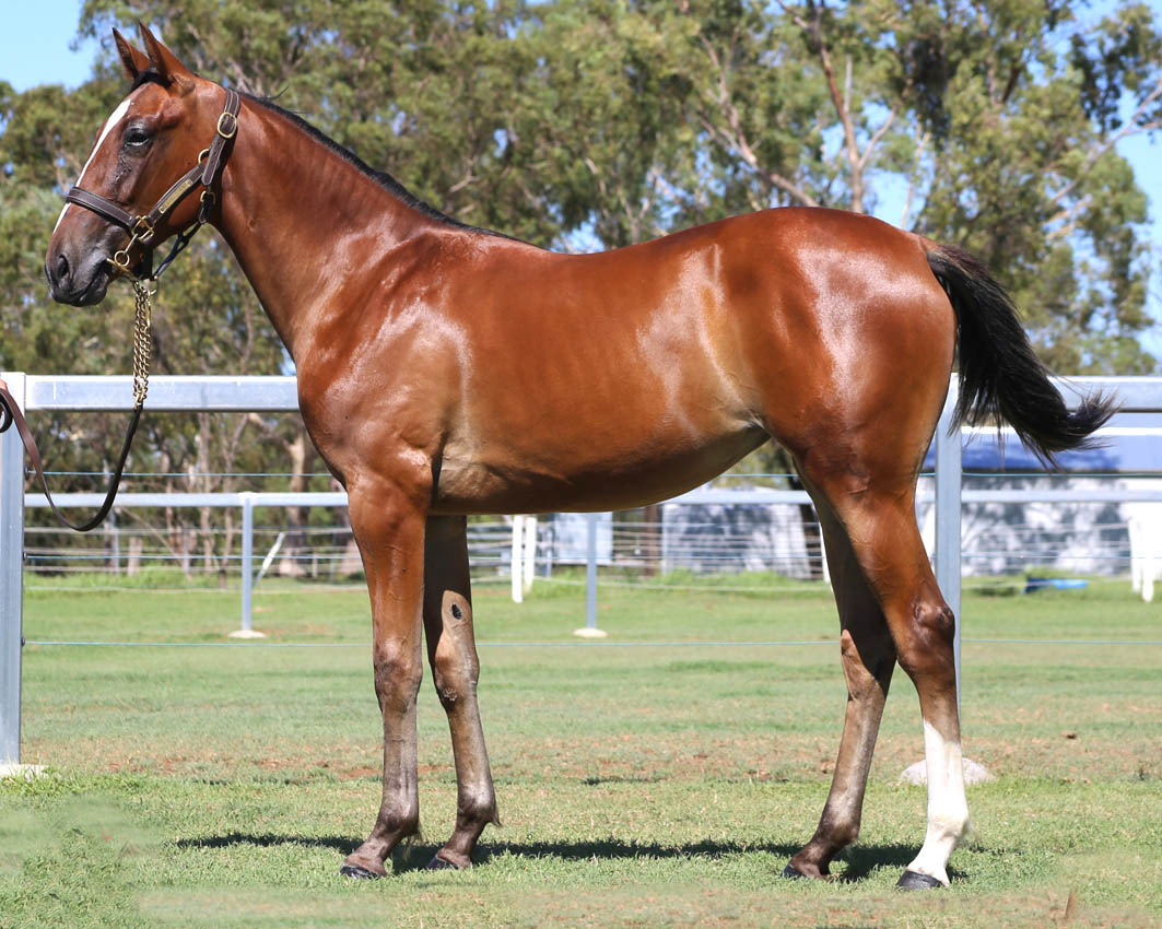 Quality over quantity