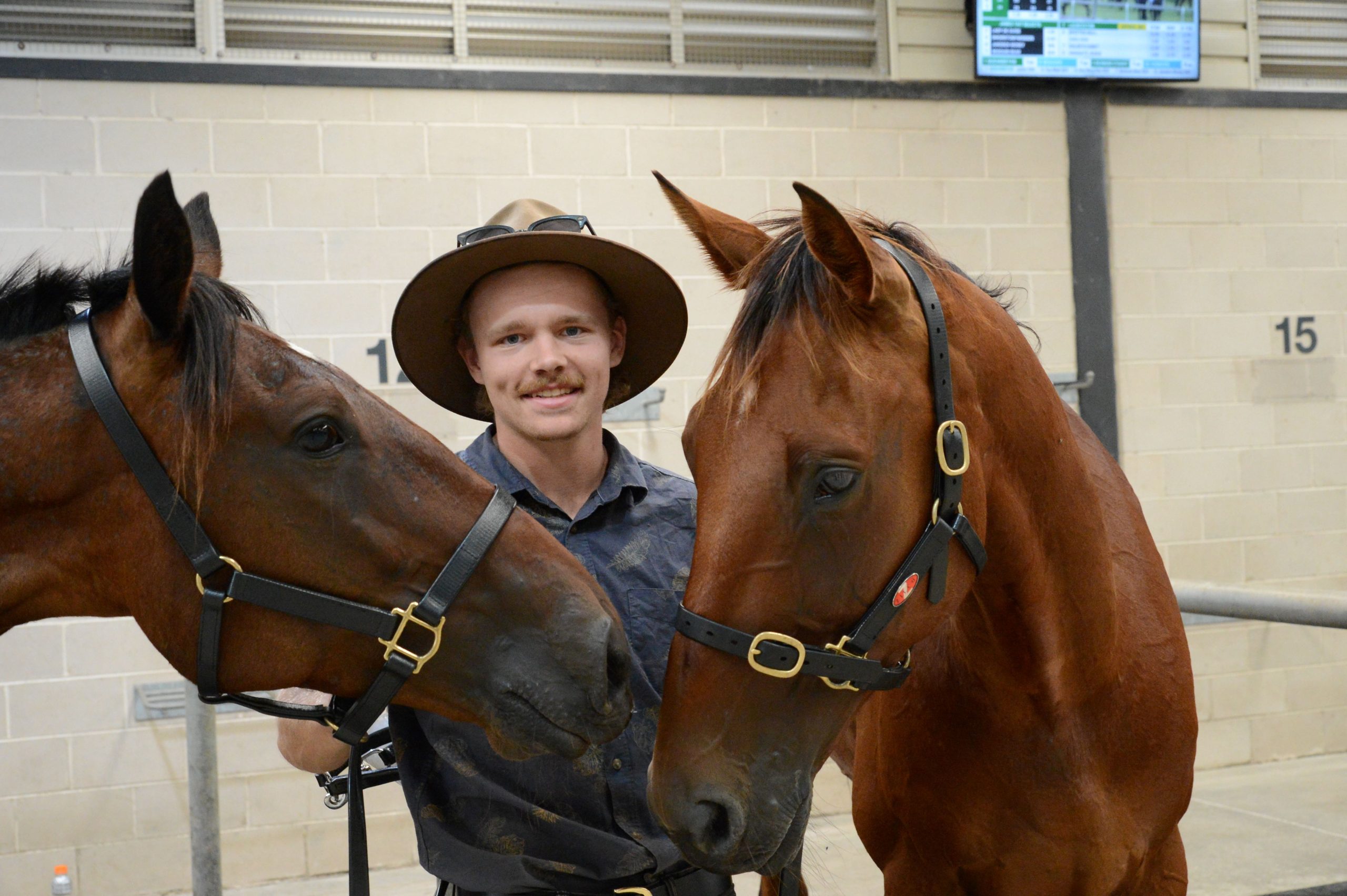 Ben wouldn't 'Swan' around with anything but horses
