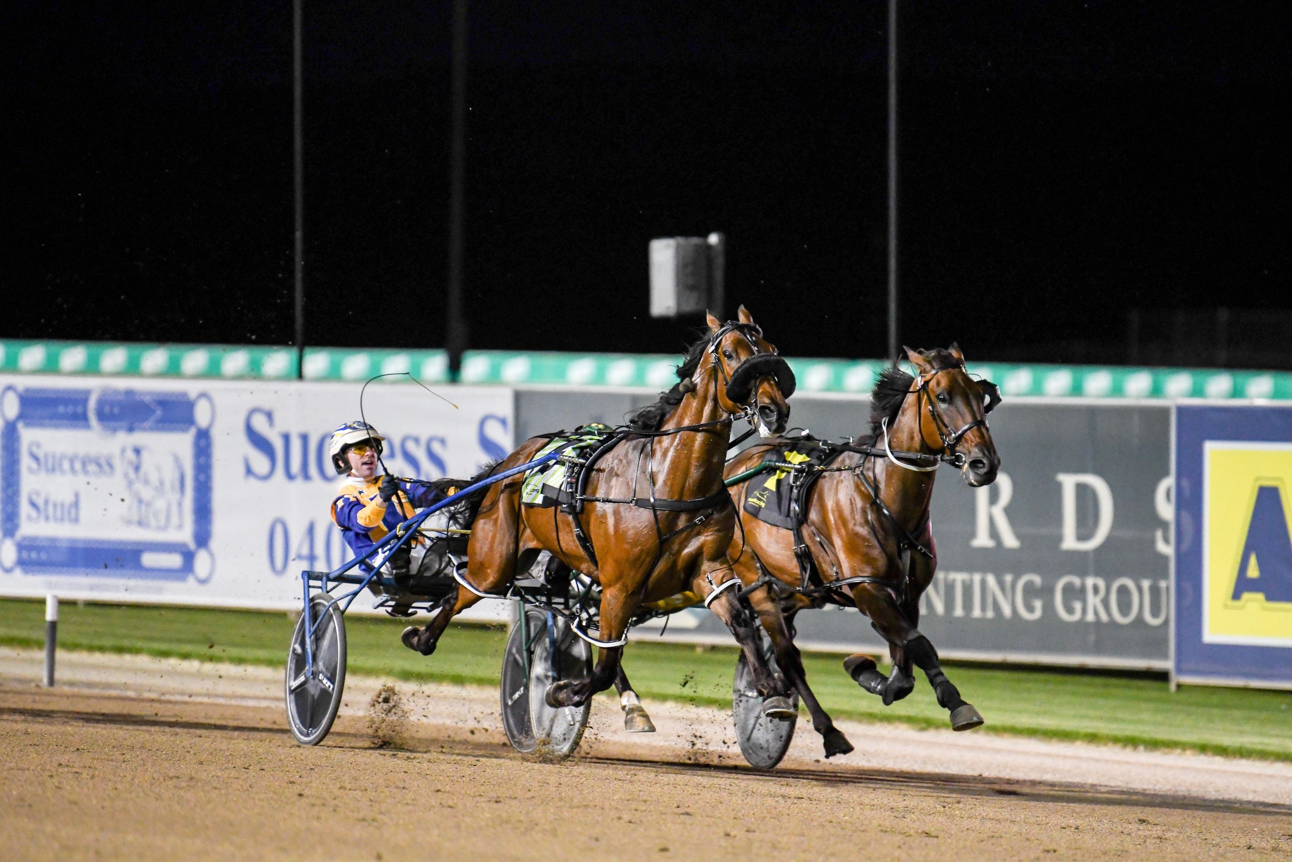 It's lights, Cam, action for our No. 1 reinsman