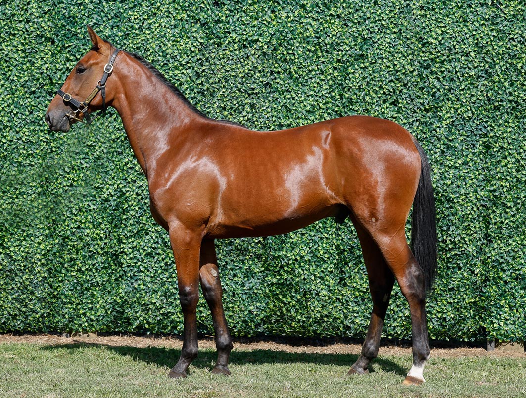 Countdown to 'mega week' is on