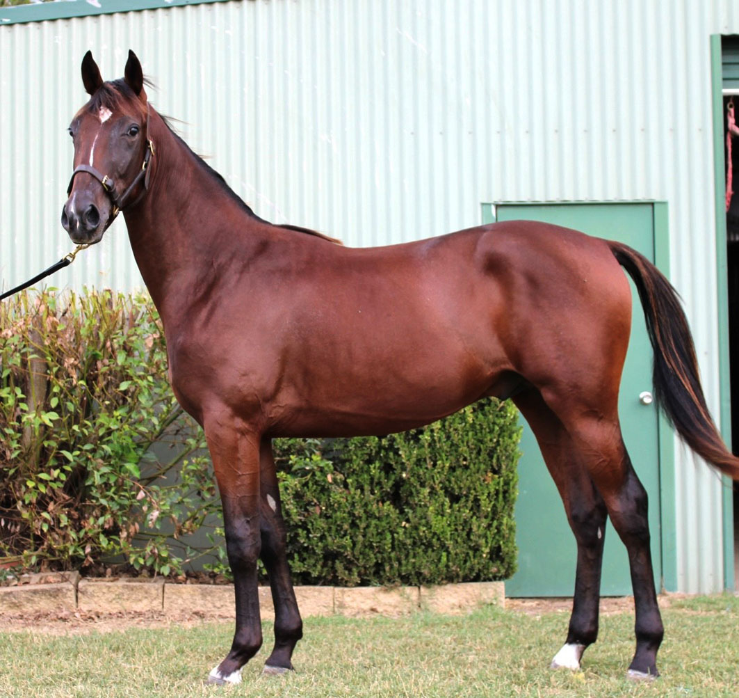 “It is a family thing"