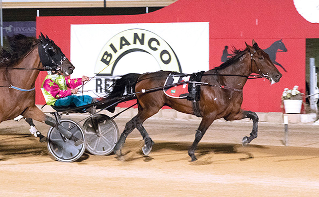 Cups King claims top throne