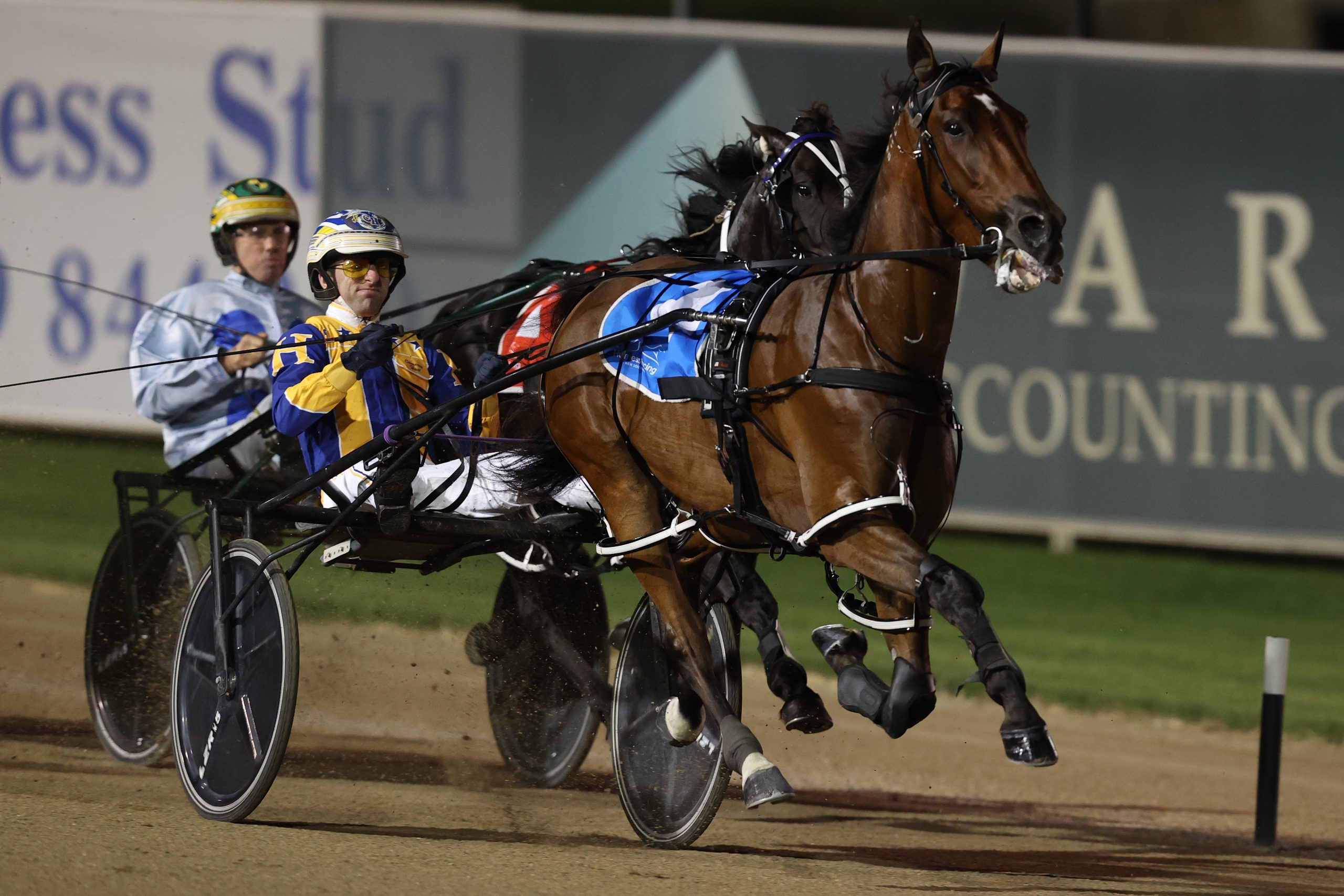 TAB selects runner for Eureka slot